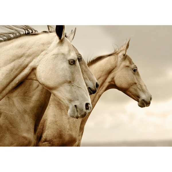 SepiaHorses_5000x-600x600.jpg