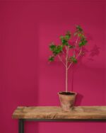 210328-819x1024px-Capri-Pink-Wall-Paint_Sml-Tree-150x188.jpg