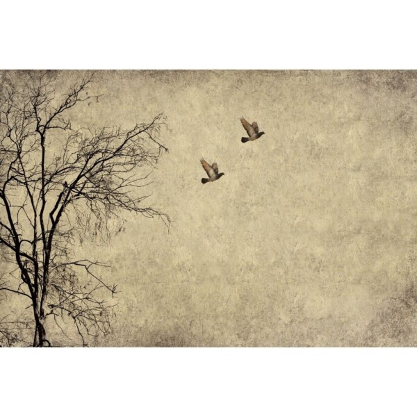 Flying-Birds-600x600.jpg