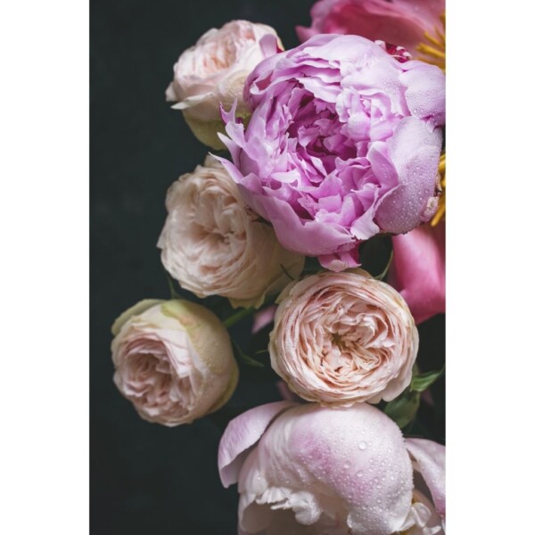 Moody-Florals-II-600x600.jpg
