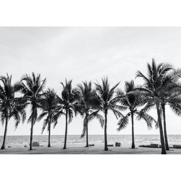 Palmtrees_5000x-600x600.jpg