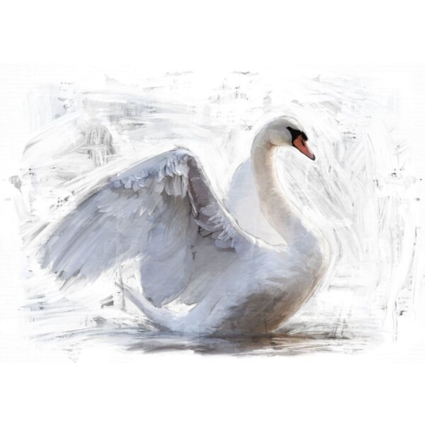 Reverse-Swan-600x600.jpg