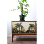 The-Tropics-7-150x150.jpg