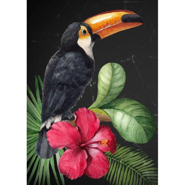 Toucan-600x600.jpg