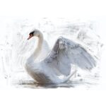 WhiteSwan_5000x-150x150.jpg