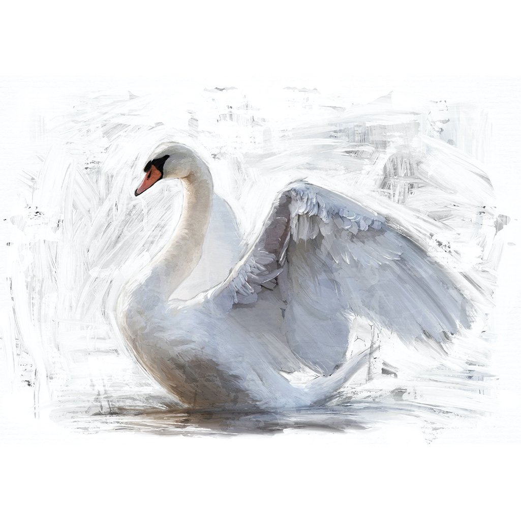 WhiteSwan_5000x.jpg - Marianthi Karta
