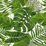 green-leaves-mint-tissue-paper-1-150x150.jpg
