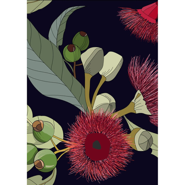 gumnuts-600x600.jpg