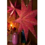 pip-christougenniatiko-asteri-poinsettia-kokkino-d60-51099201-4-150x150.jpg