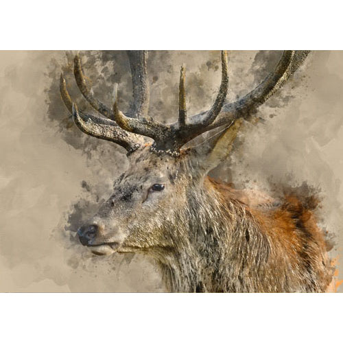 yes-deer-2.jpg