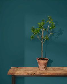 το νεο aubusson blue wall paint annie sloan χρώμα τοίχου 2 - Marianthi Karta